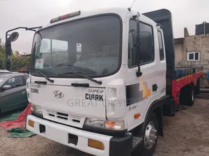Hyundai 5 Tons Truck