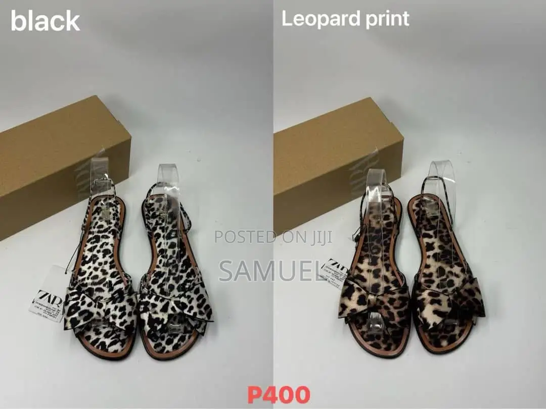 Flat Ladies Shoe