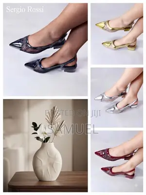 Flat Ladies Shoe
