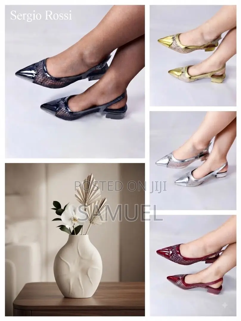Flat Ladies Shoe