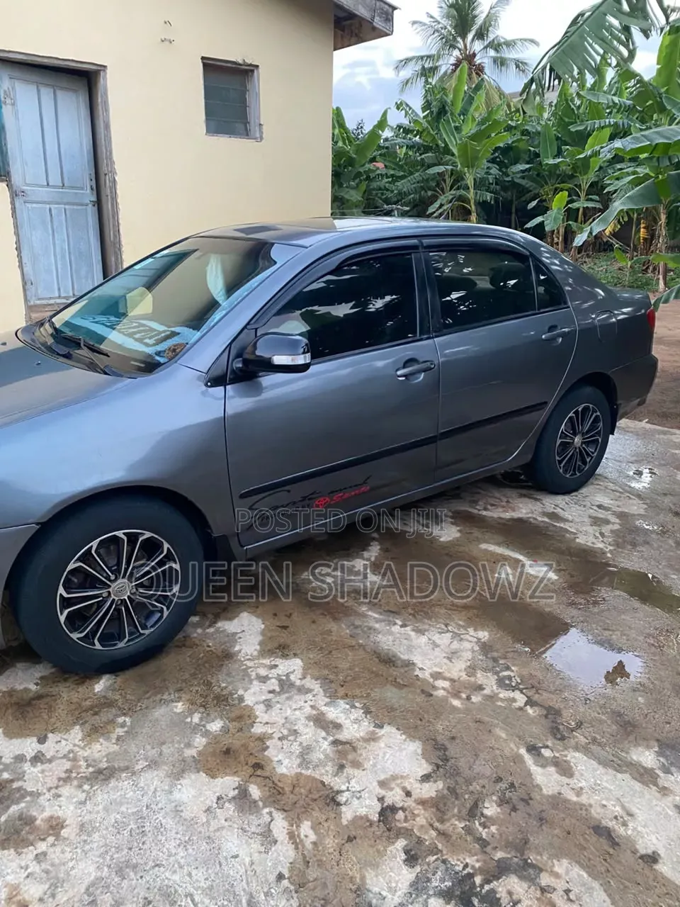Toyota Corolla 2006 Gray