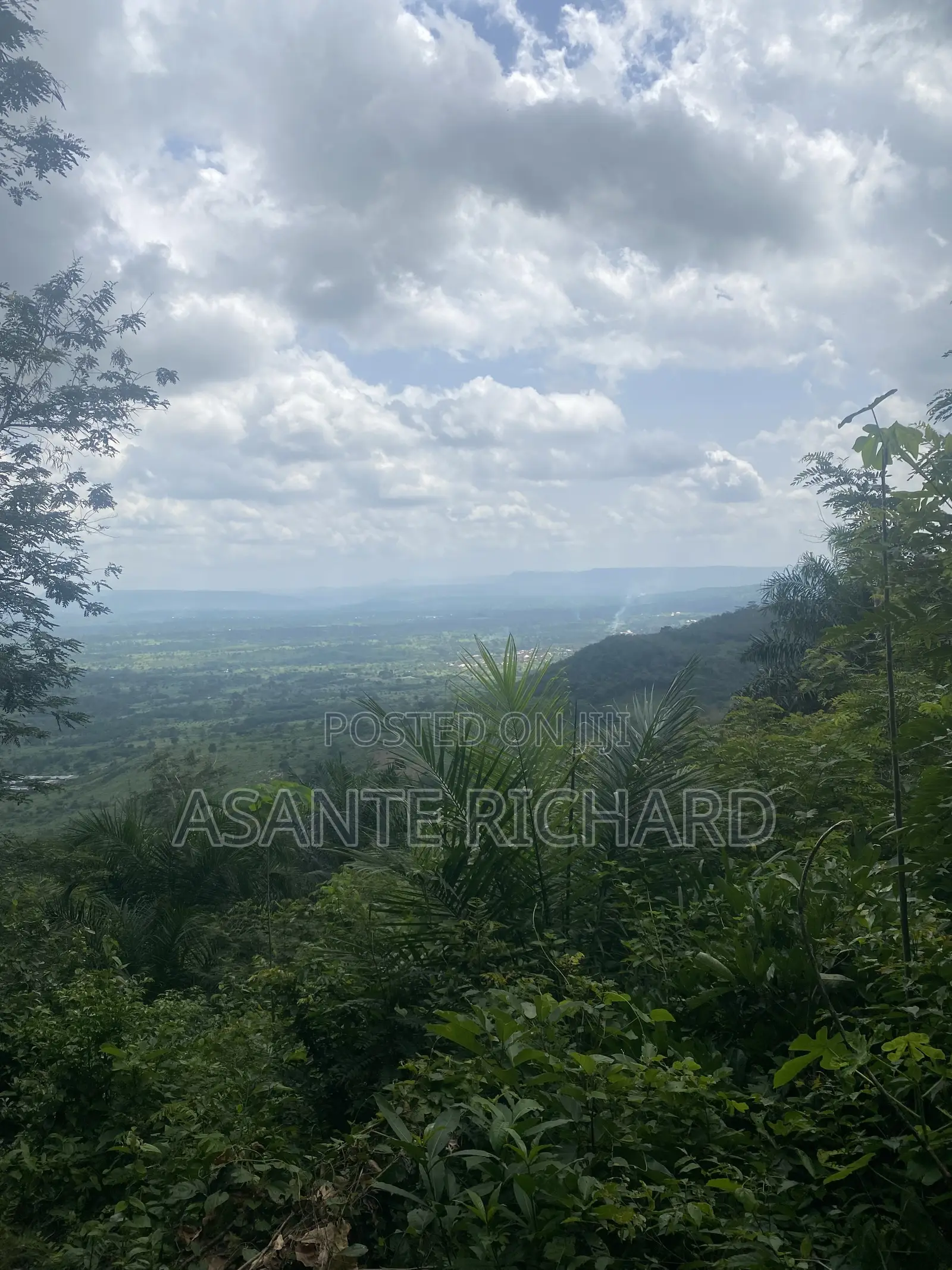 Land 70*100