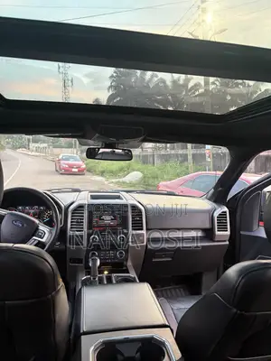 Ford F-150 2015 Gray