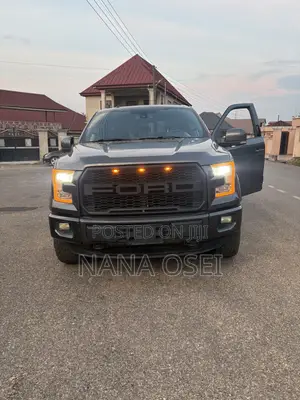 Ford F-150 2015 Gray