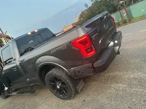 Ford F-150 2015 Gray
