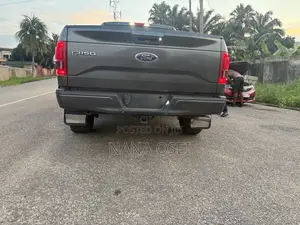 Ford F-150 2015 Gray
