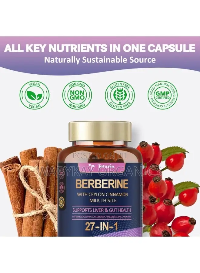 Berberine With Ceylon Cinnamon 27 in 1