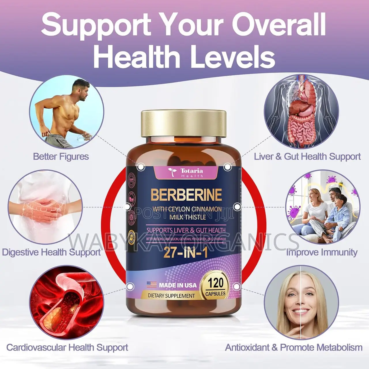 Berberine With Ceylon Cinnamon 27 in 1