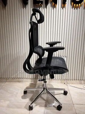 Ergo Office Chair