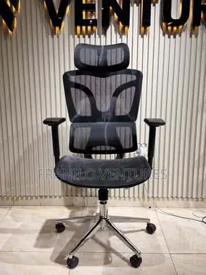 Ergo Office Chair