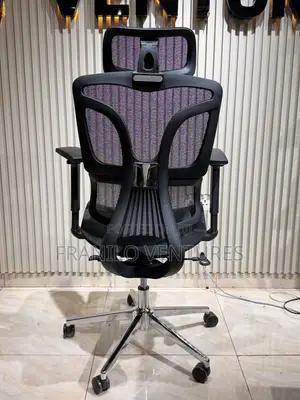 Ergo Office Chair