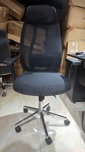 Ergonomic Mesh Office Chair With Lumbar Adjustment