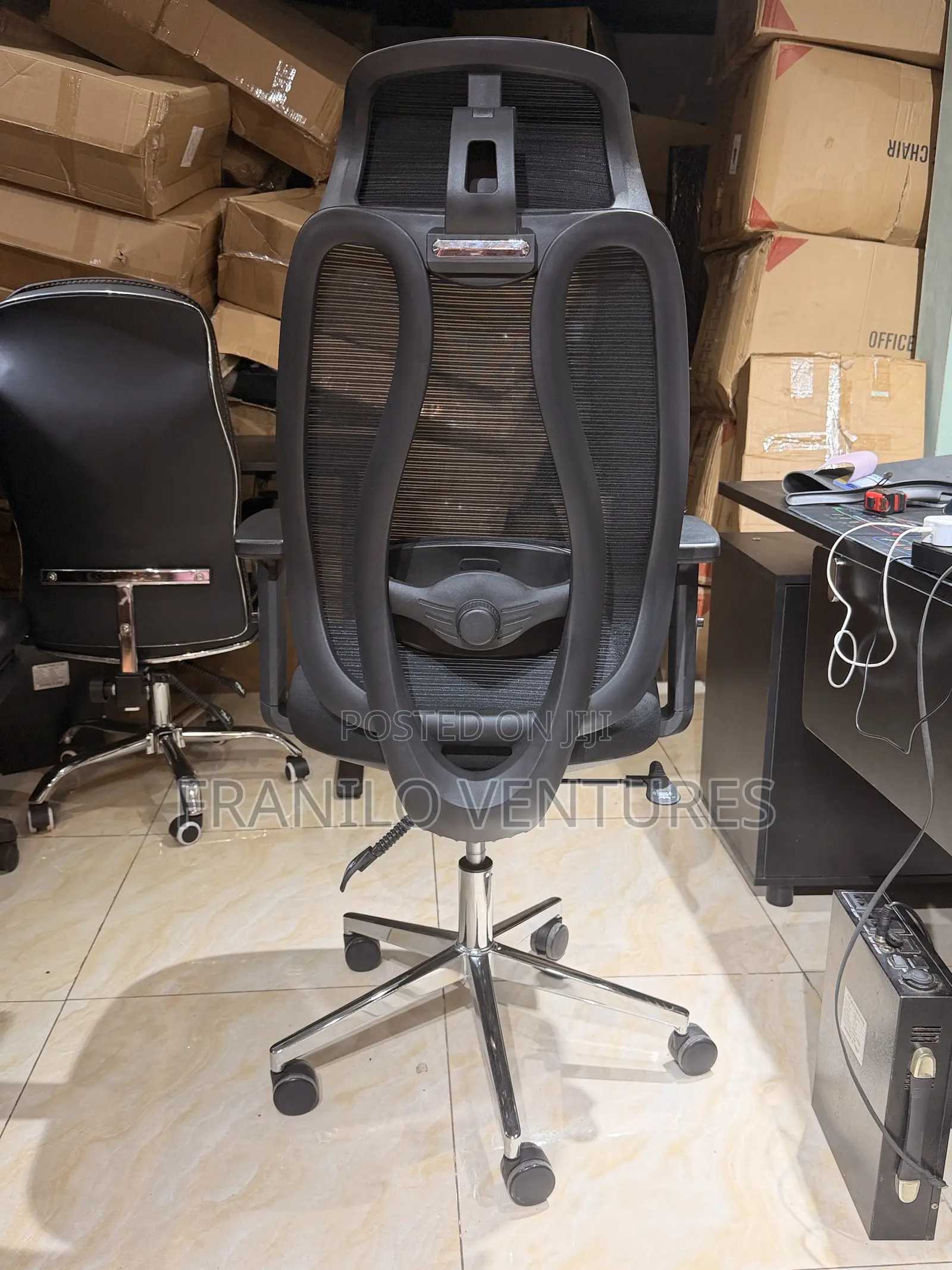 Ergonomic Mesh Office Chair With Lumbar Adjustment