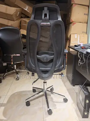 Ergonomic Mesh Office Chair With Lumbar Adjustment