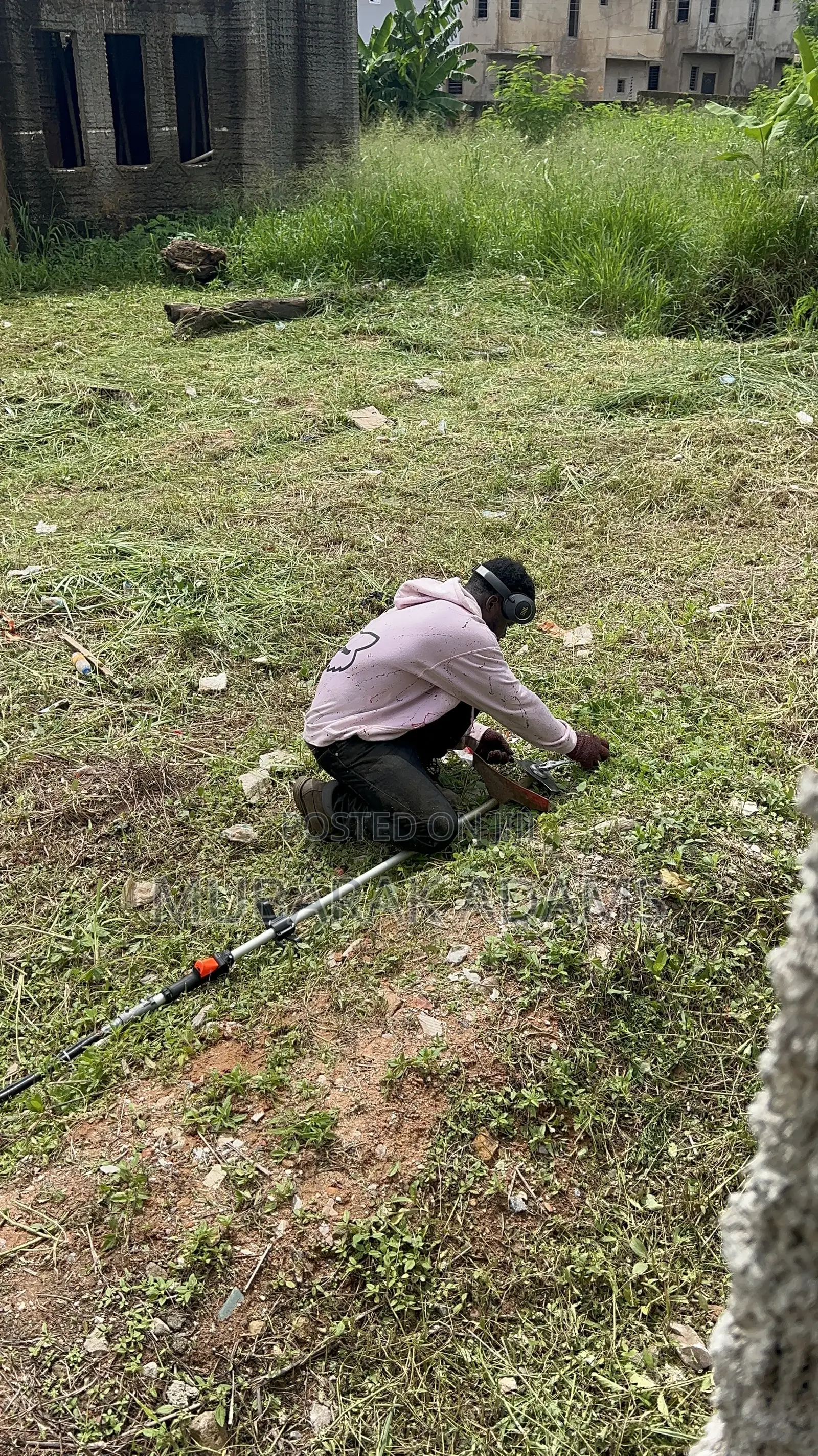 Landscape Cleaning