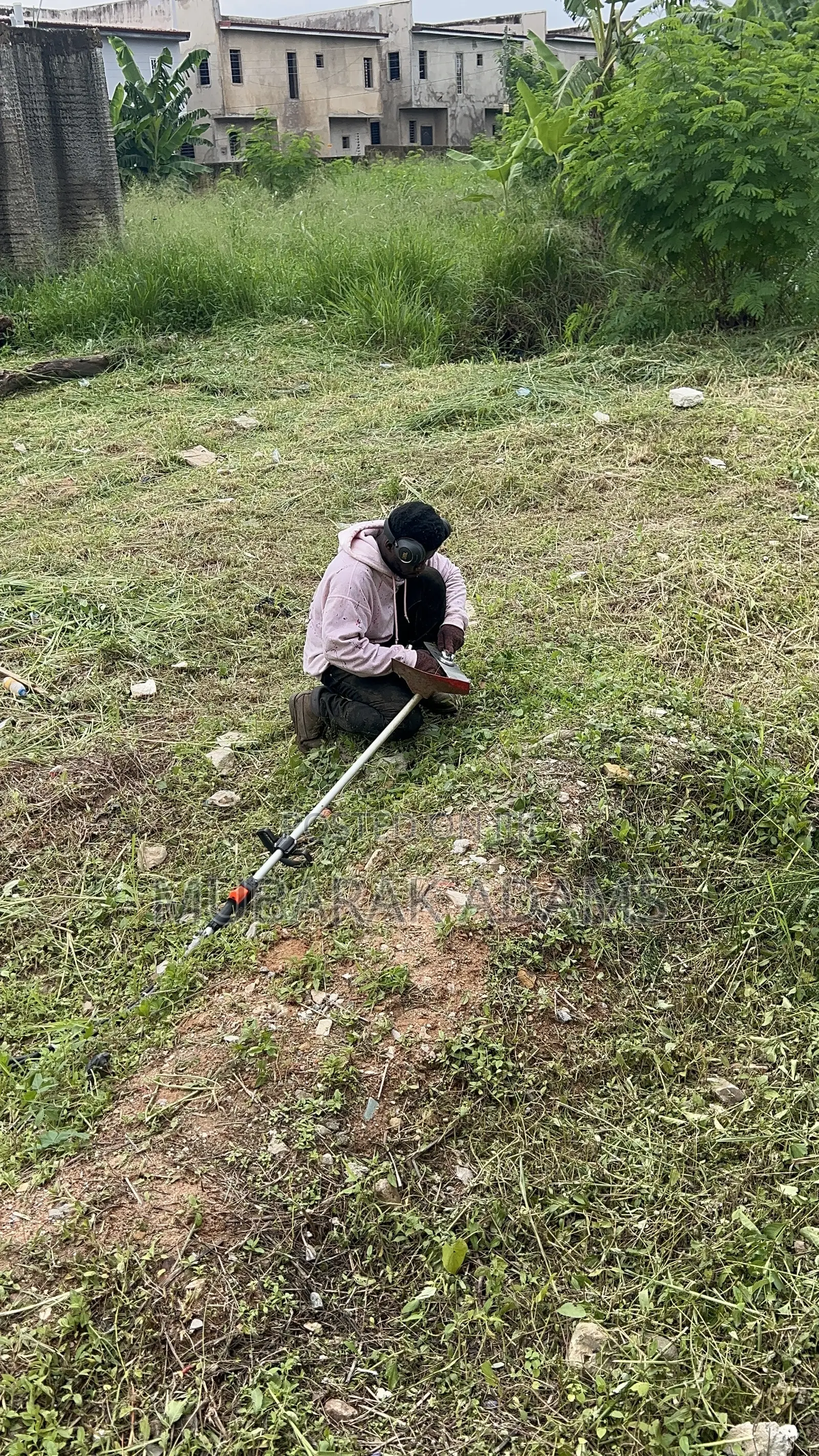 Landscape Cleaning