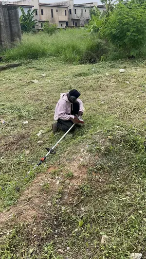 Landscape Cleaning