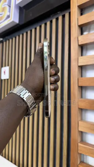 Apple iPhone 12 Pro Max 256 GB Gold