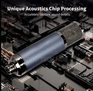 High Quality Studio Condenser Microphone