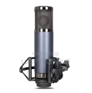 High Quality Studio Condenser Microphone