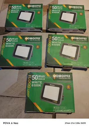 Q C Wolves Flood Light 50watt