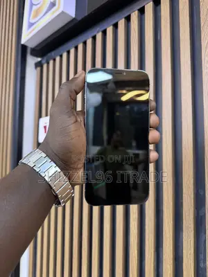 Apple iPhone 12 Pro Max 128 GB Gray