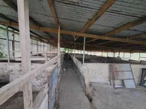 Poultry/ Pig Farm
