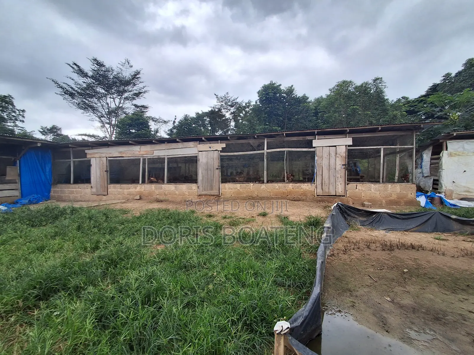 Poultry/ Pig Farm