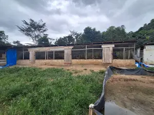 Poultry/ Pig Farm