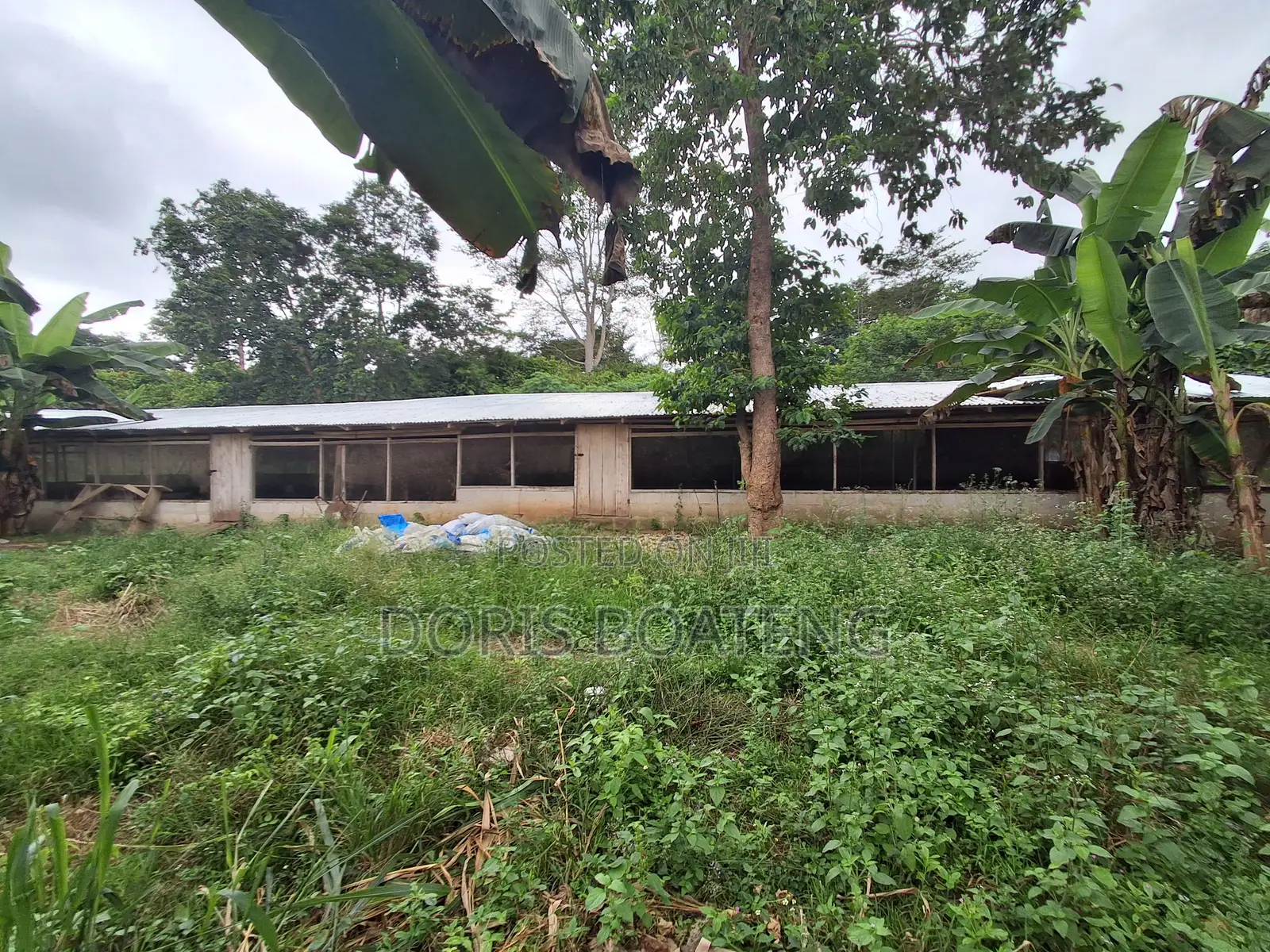 Poultry/ Pig Farm