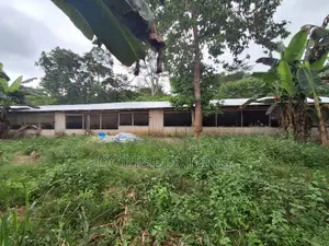 Poultry/ Pig Farm