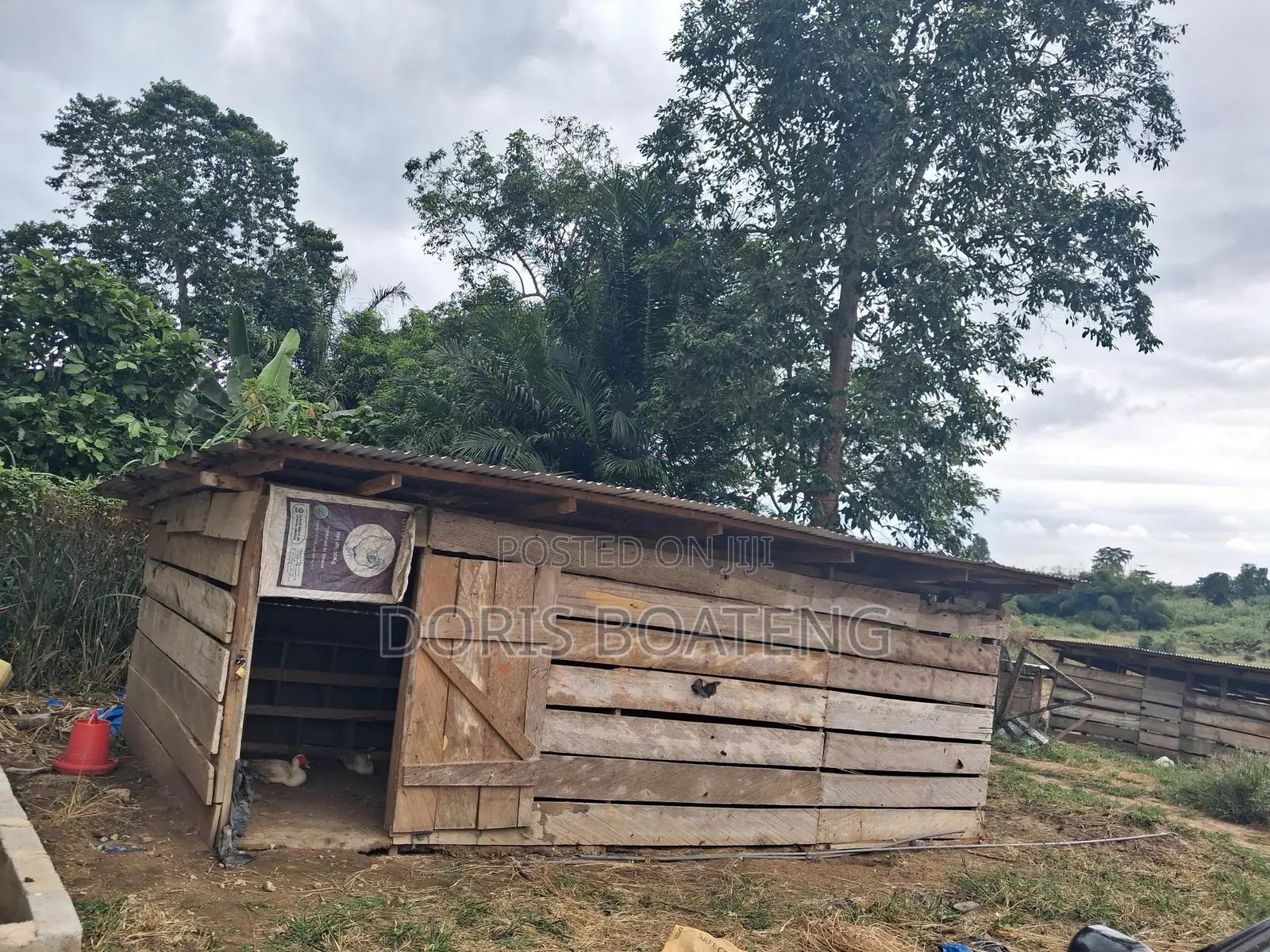 Poultry/ Pig Farm