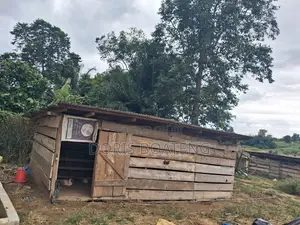 Poultry/ Pig Farm