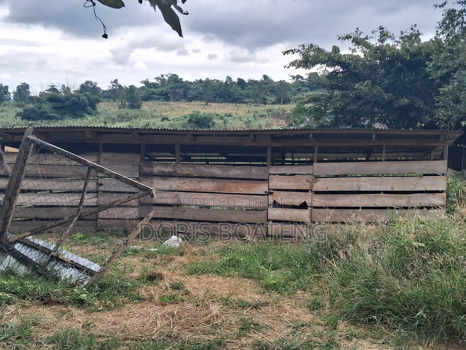 Poultry/ Pig Farm