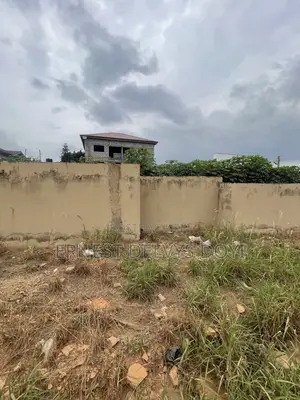 100ft by 100ft Titled Land at Pantang Junction
