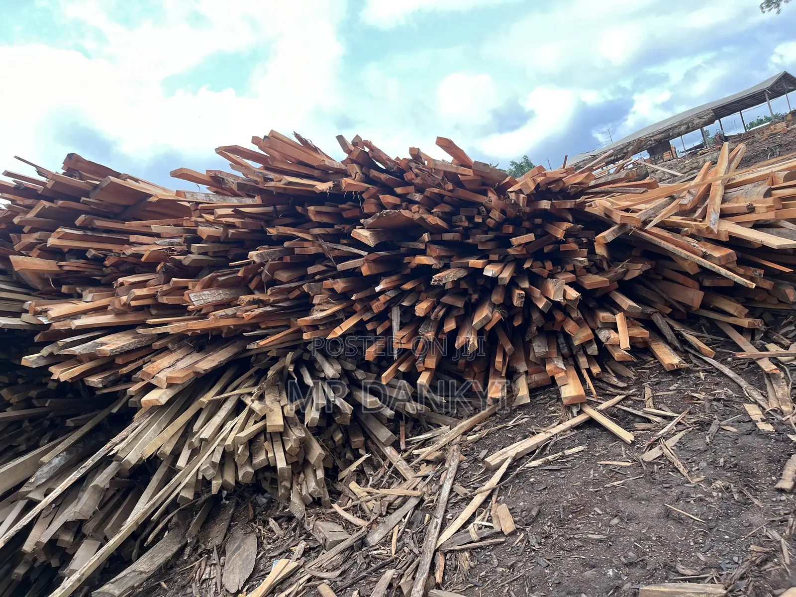 Woods for Roofing