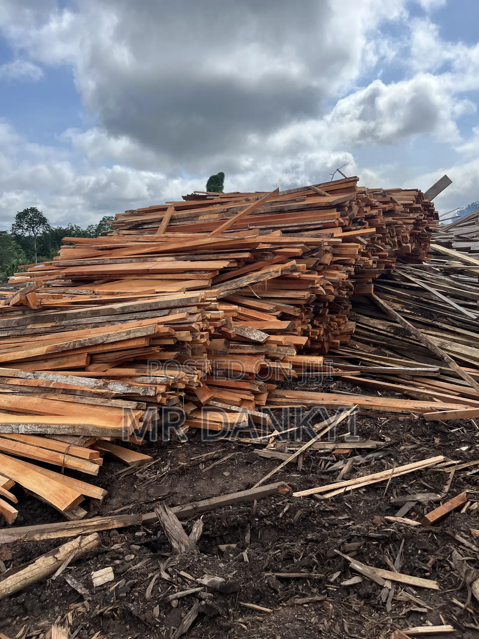 Woods for Roofing
