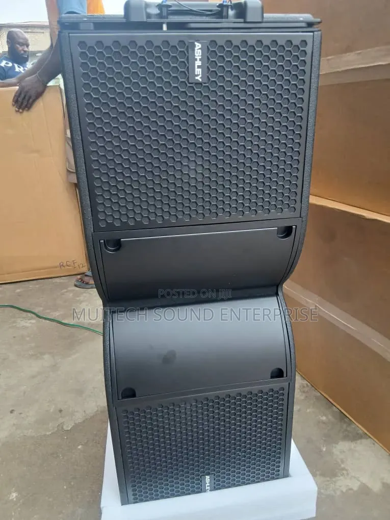Ashley Line Array Speaker 10 Inches