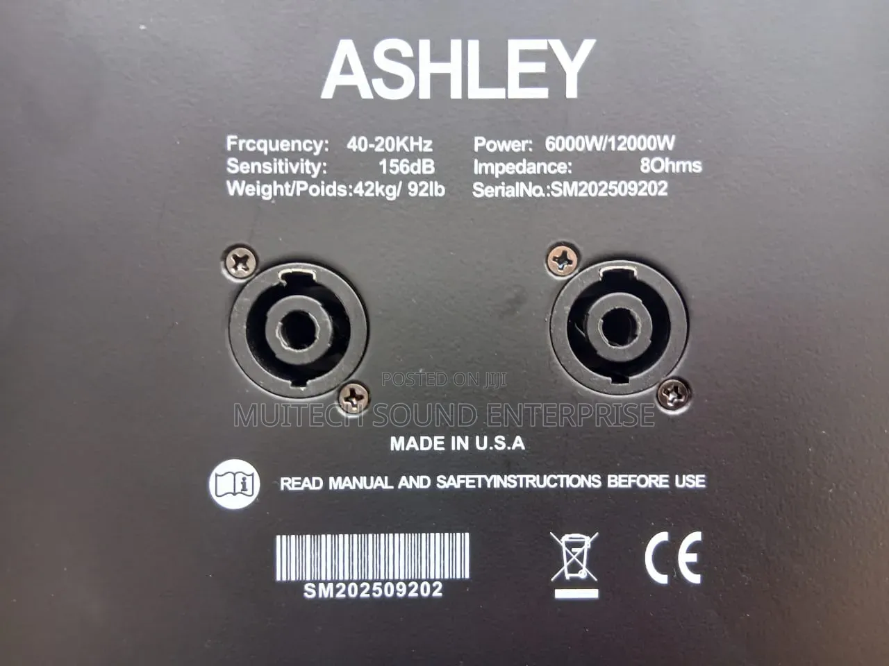 Ashley Line Array Speaker 10 Inches