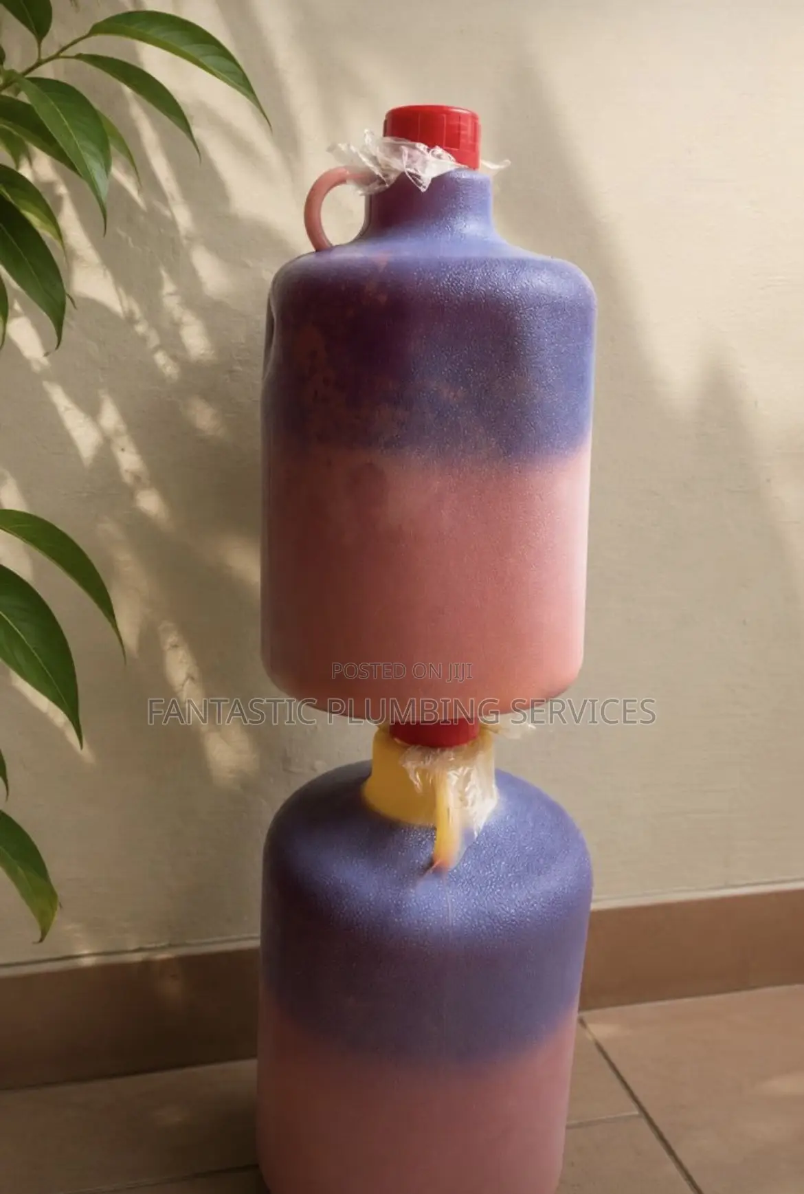 Pure Zomi Red Oil With No Colored Additives