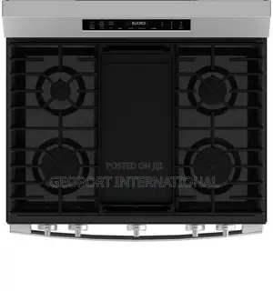 The GE 30-Inch Stainless Steel Gas Range (Model #GGF600AVSS)