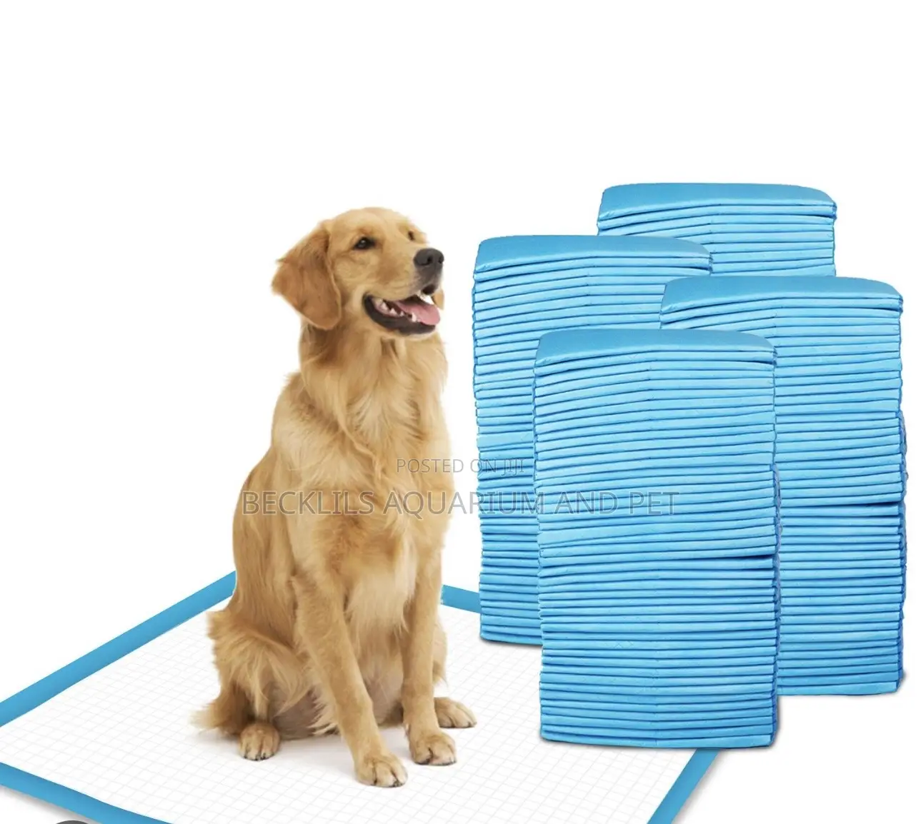 Thick Quality Dog and Cat Pee Pads