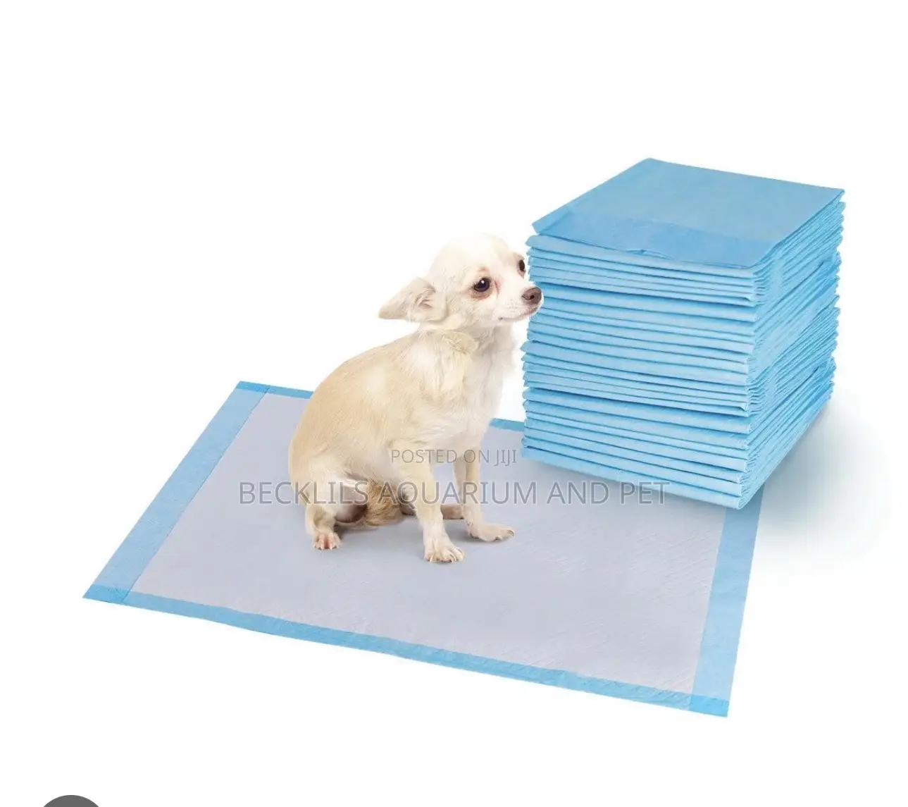 Thick Potty Training Pads for Dogs