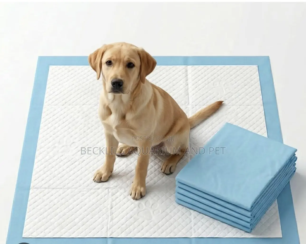 Thick Potty Training Pads for Dogs
