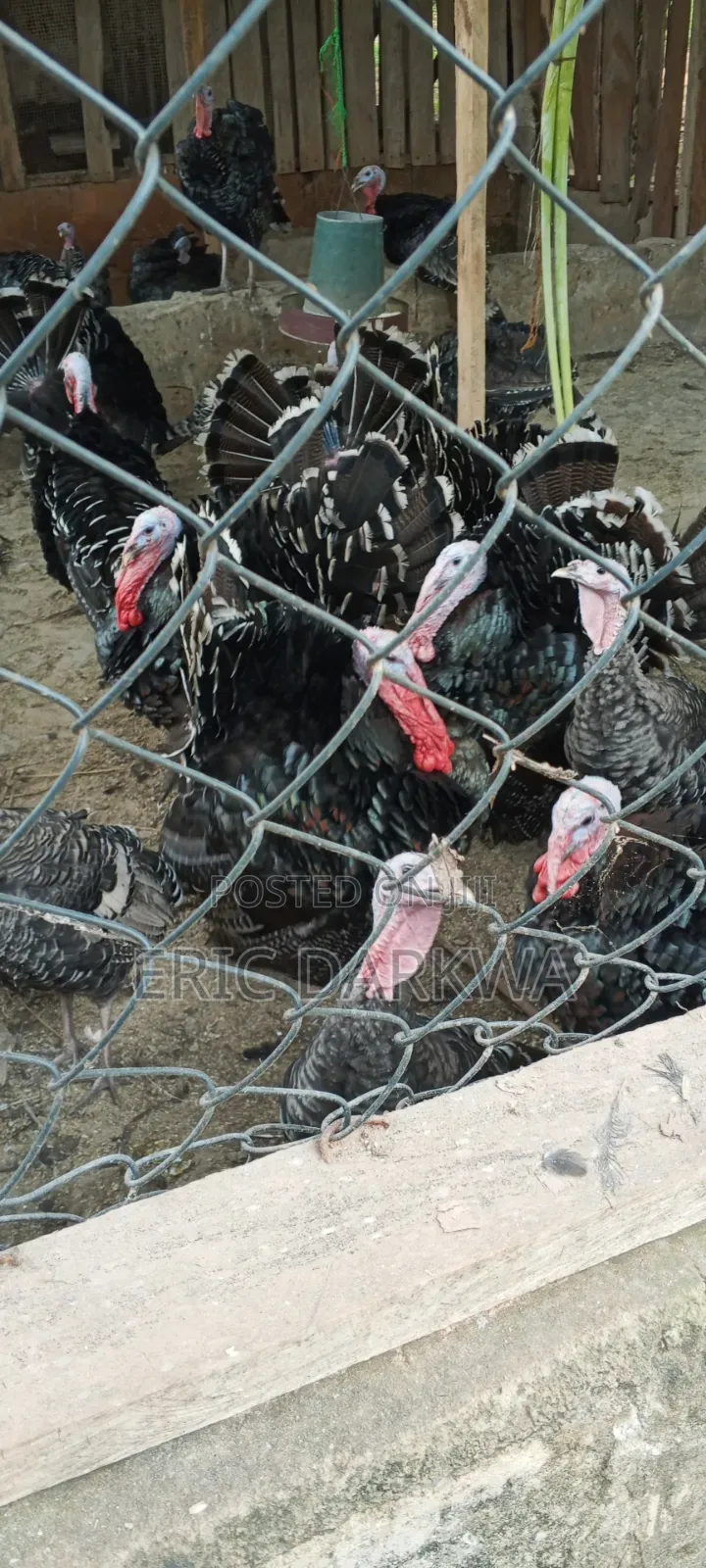 Eridics Farms
