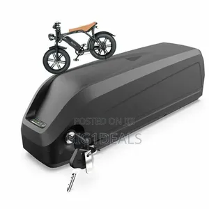 Electric Bike Battery