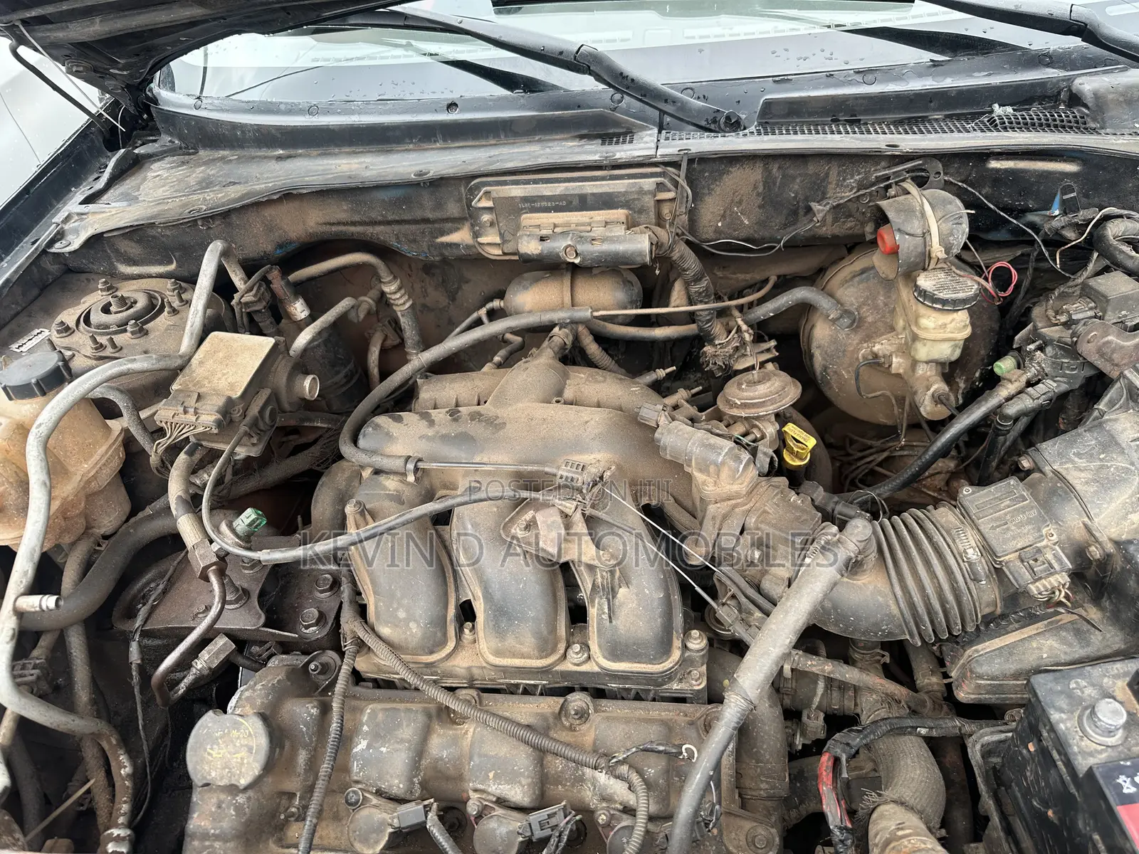 Ford Escape XLT Popular FWD 2003 Black
