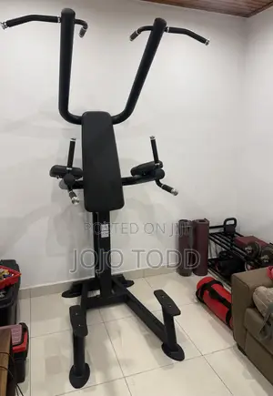 Life Fitness Pull Up Station