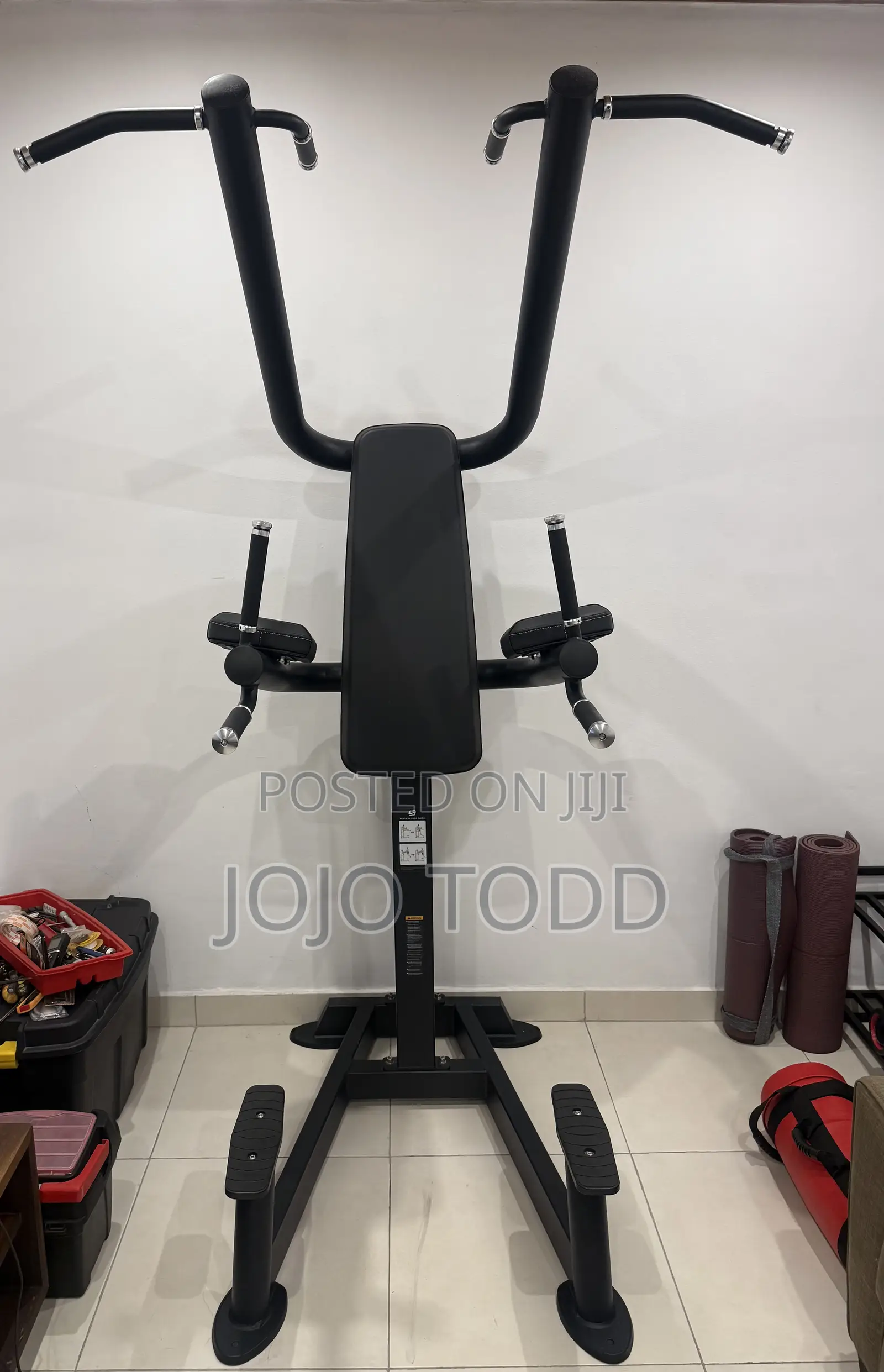 Life Fitness Pull Up Station