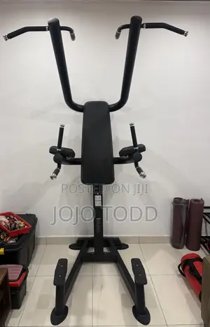 Life Fitness Pull Up Station